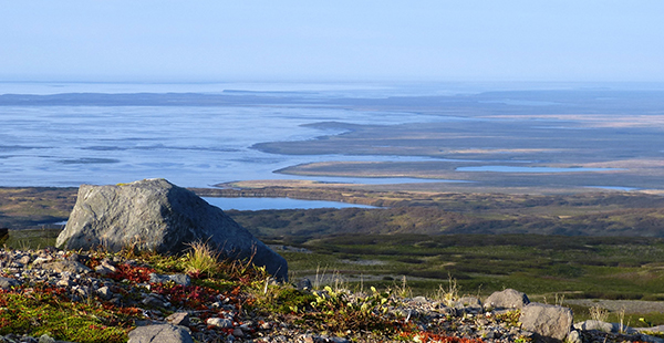 Fall colors in Izembek wilderness © Kristine Sowl - USFWS