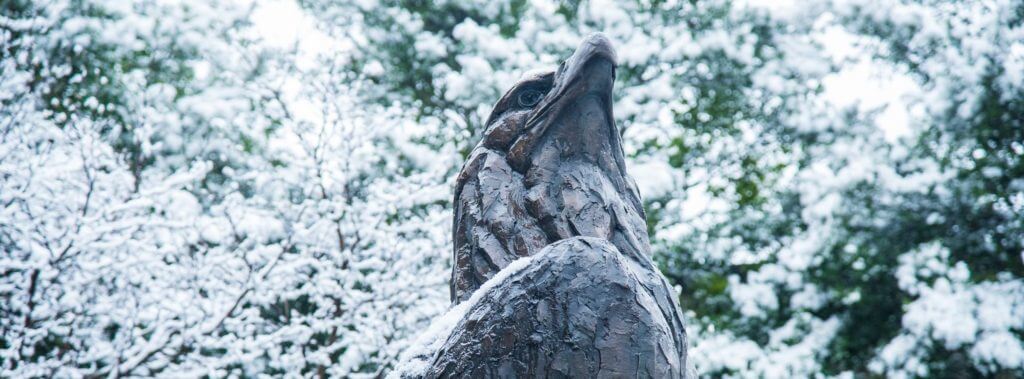 AU Eagle Statue with a snow covered tree behind it.