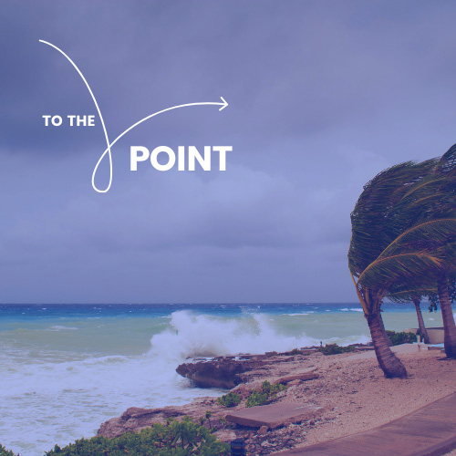 To The Point logo against a hurricane background