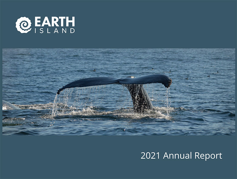 annual report cover