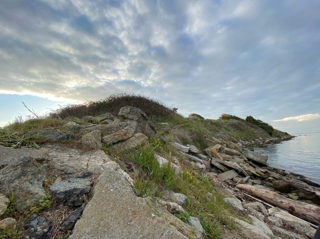 photo of a trail
