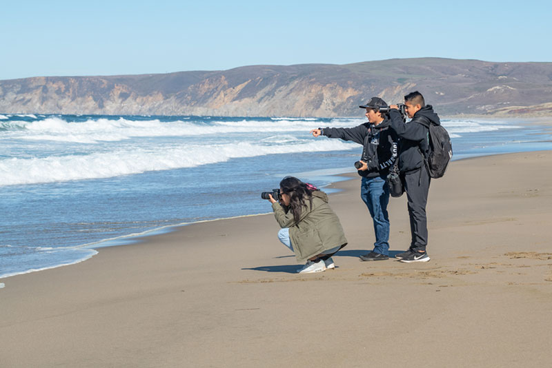 photo of young people taking photographs on a wild beach