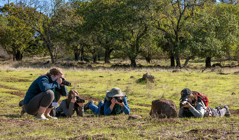 photo of young people using cameras outdoors