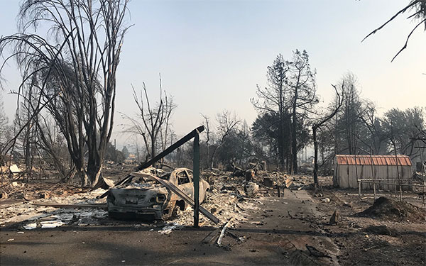 photo of a wildfire aftermath