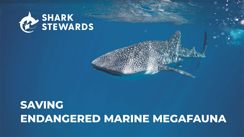 poster with a whale shark
