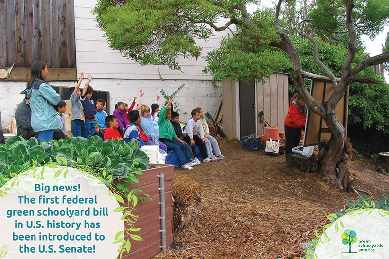 photo of children in an outdoor class