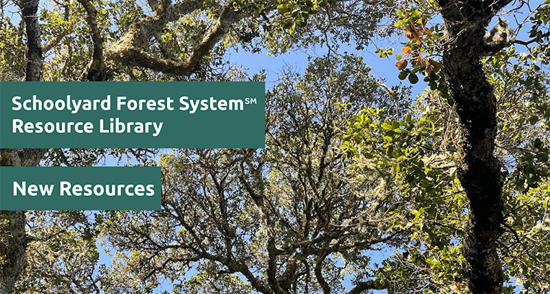 poster, leafy background