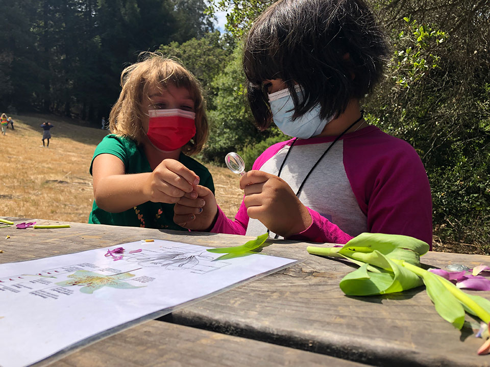 masked children outdoors examining plants
