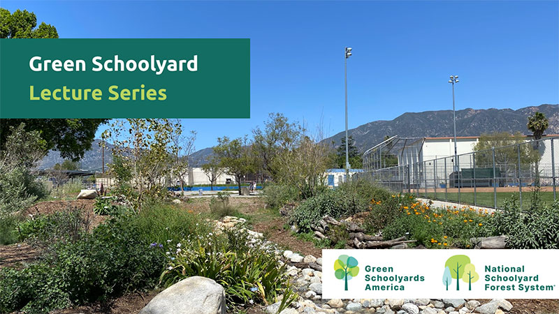 a school with a garden landscape