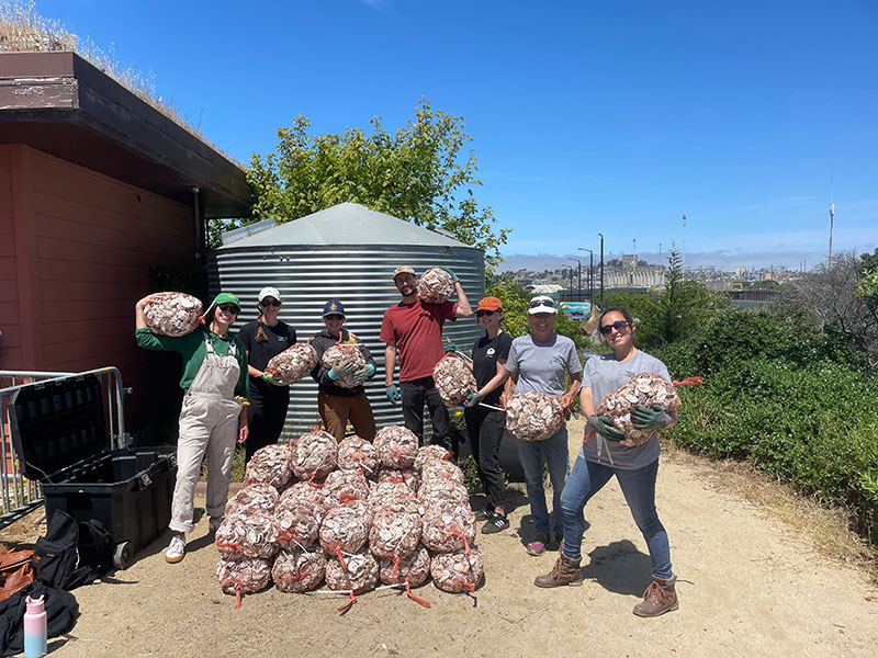 people outdoors with sacks of oyster shells