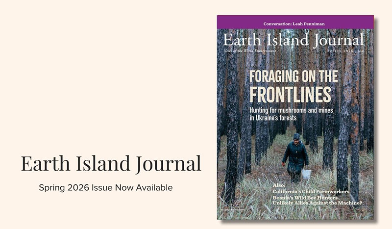 EIJ cover
