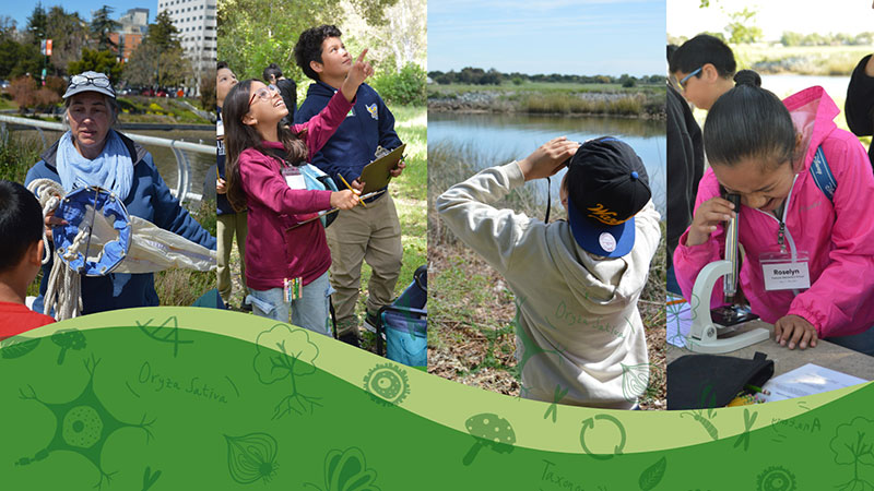 collage photo of young people doing science outdoors