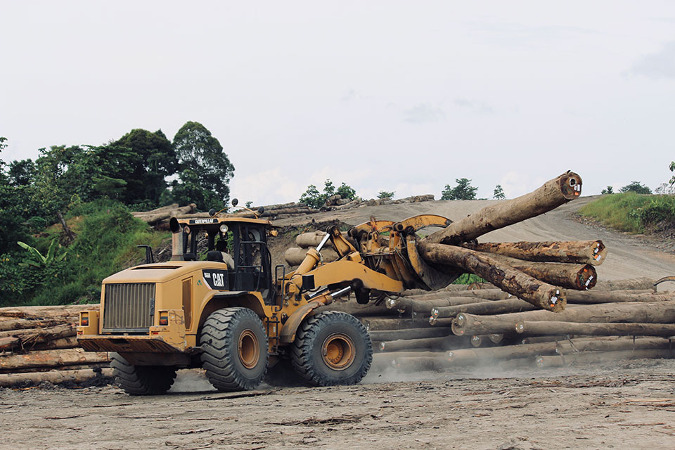 heavy equipment in a forest