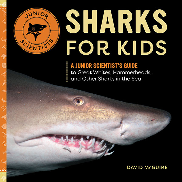 book cover thumbnail