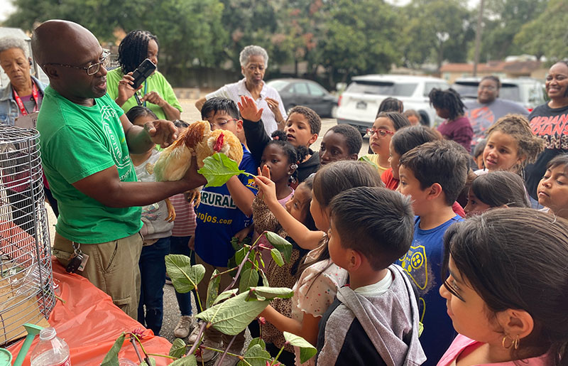people outdoors, an adult showing children a chicken