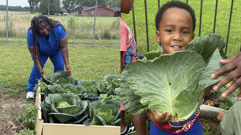 a child offering produce