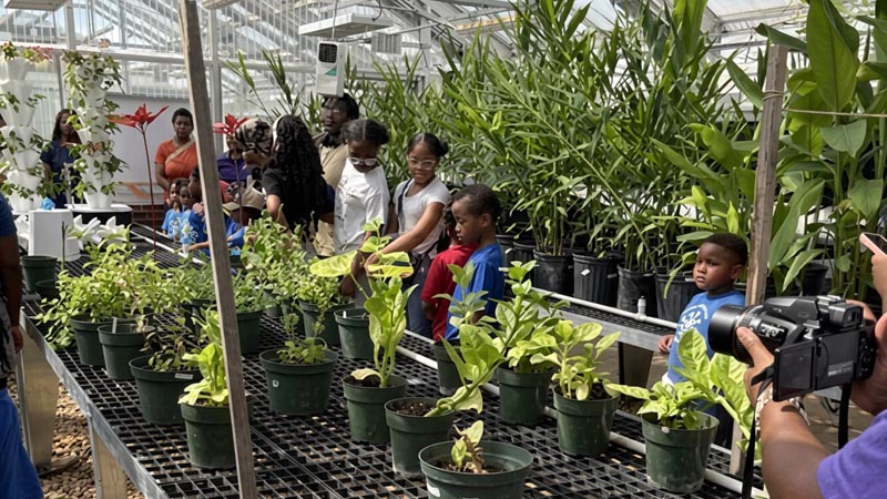 young people in a plant-filled greenhouse