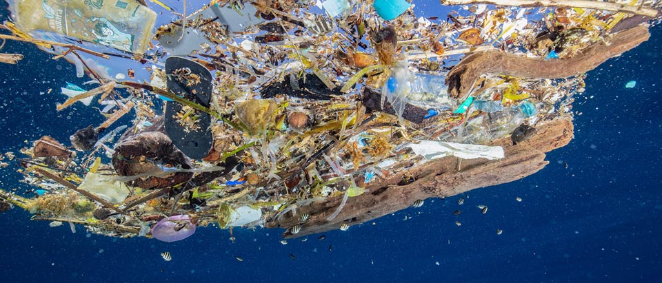 floating plastic trash