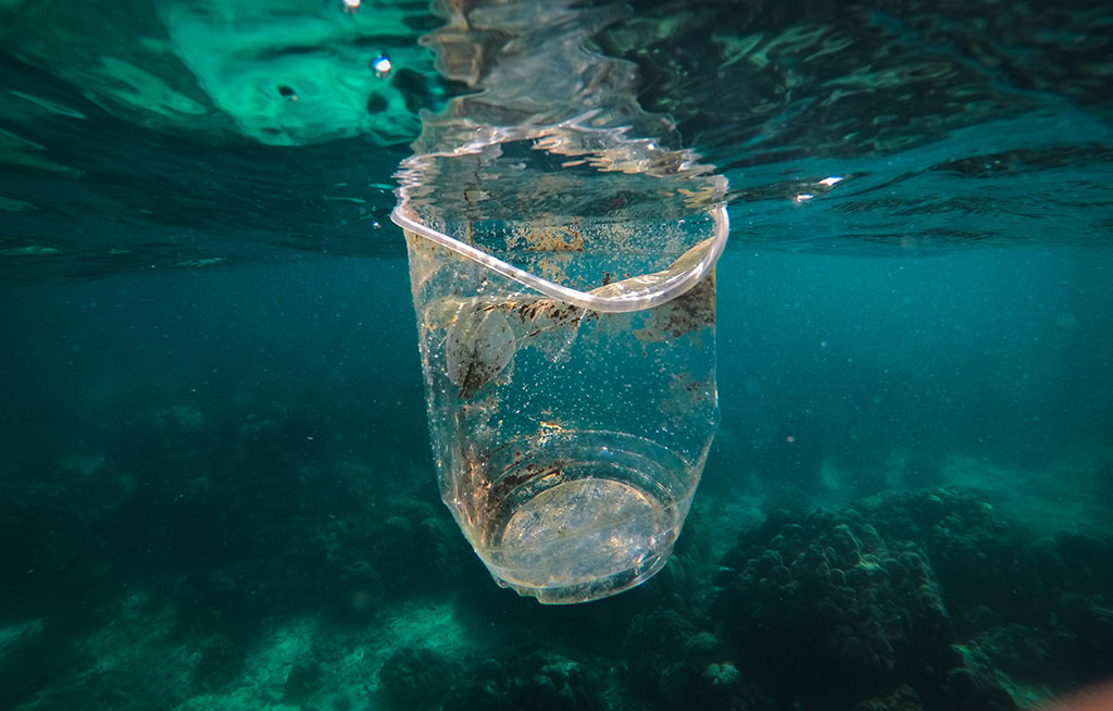 photo of a plastic cup underwater, garbage