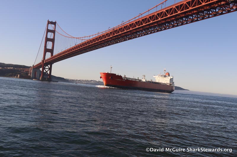  oil tanker under the Golden Gate bridge