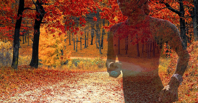 artwork depicting a runner through autumn leaves