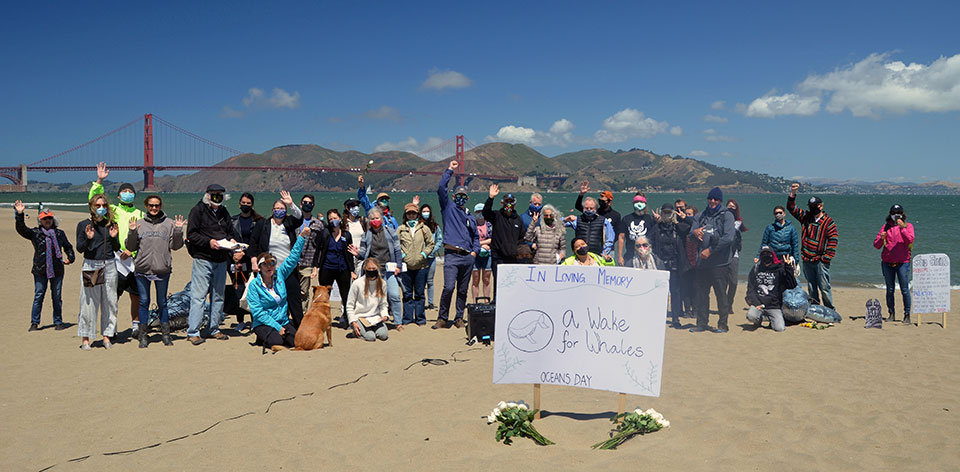 photo of demonstrators on a beach