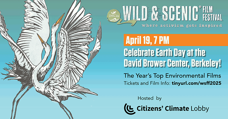 egret-themed poster