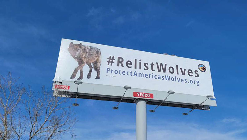 photo of a billboard