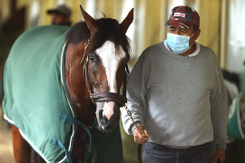 a horse being led through a stable