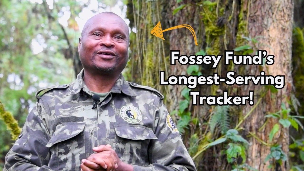 Fundi Banner