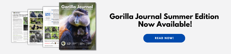 Gorilla