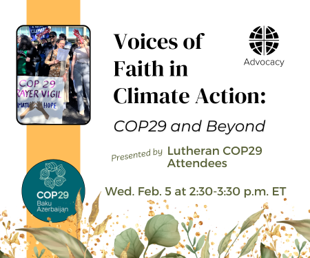 COP29 webinar