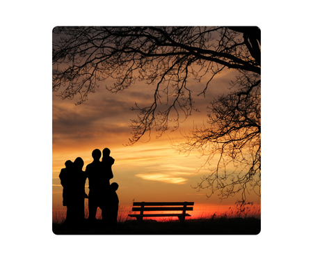 a family in silhouette looking at a sunset