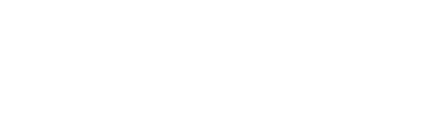 Chicago Triathlon Logo