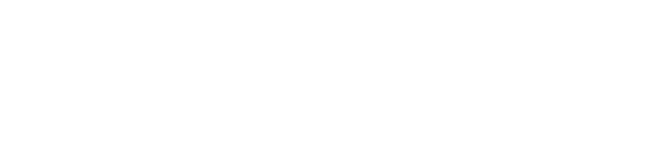 Life Time Chicago Spring Half Marathon and 5k logo