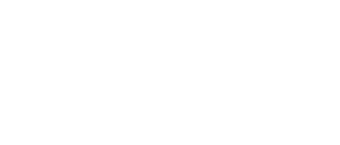 Wellstar Foundation