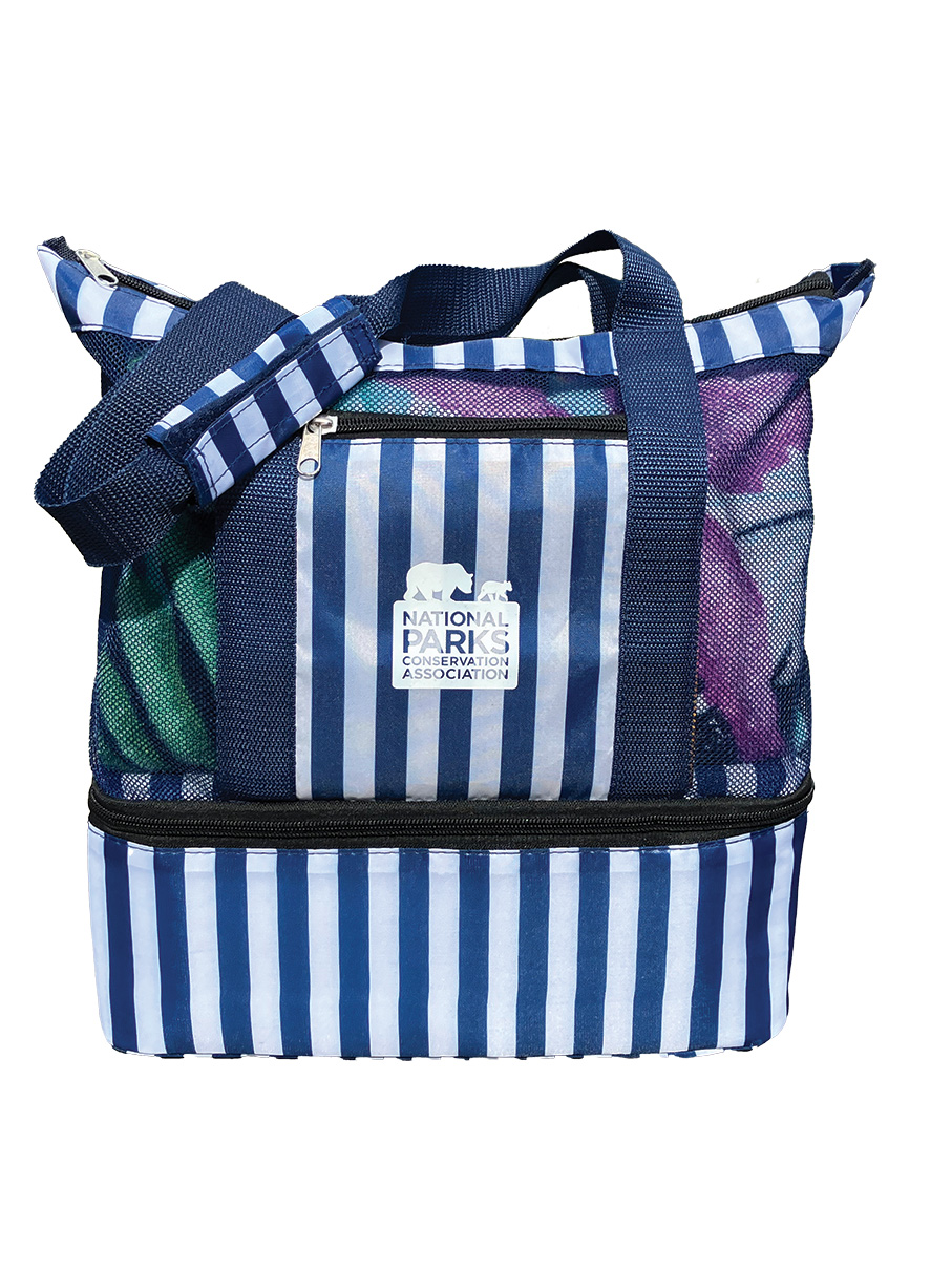 Cooler Tote