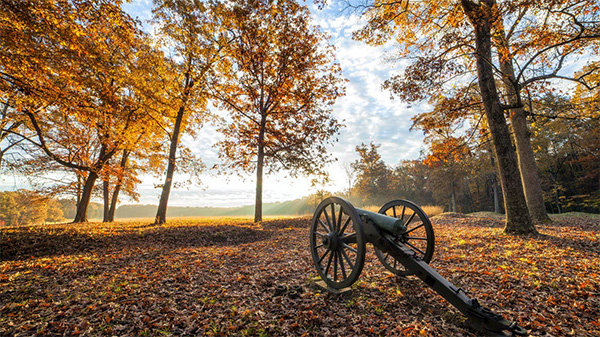 a cannon in fall trees