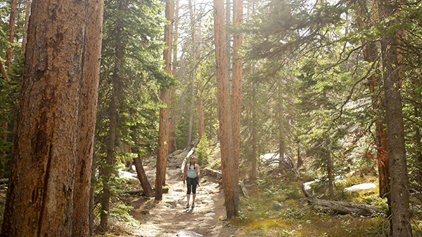 Person Hiking at Rocky Mountain