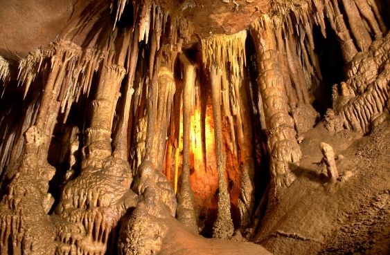 Mammoth Cave NP