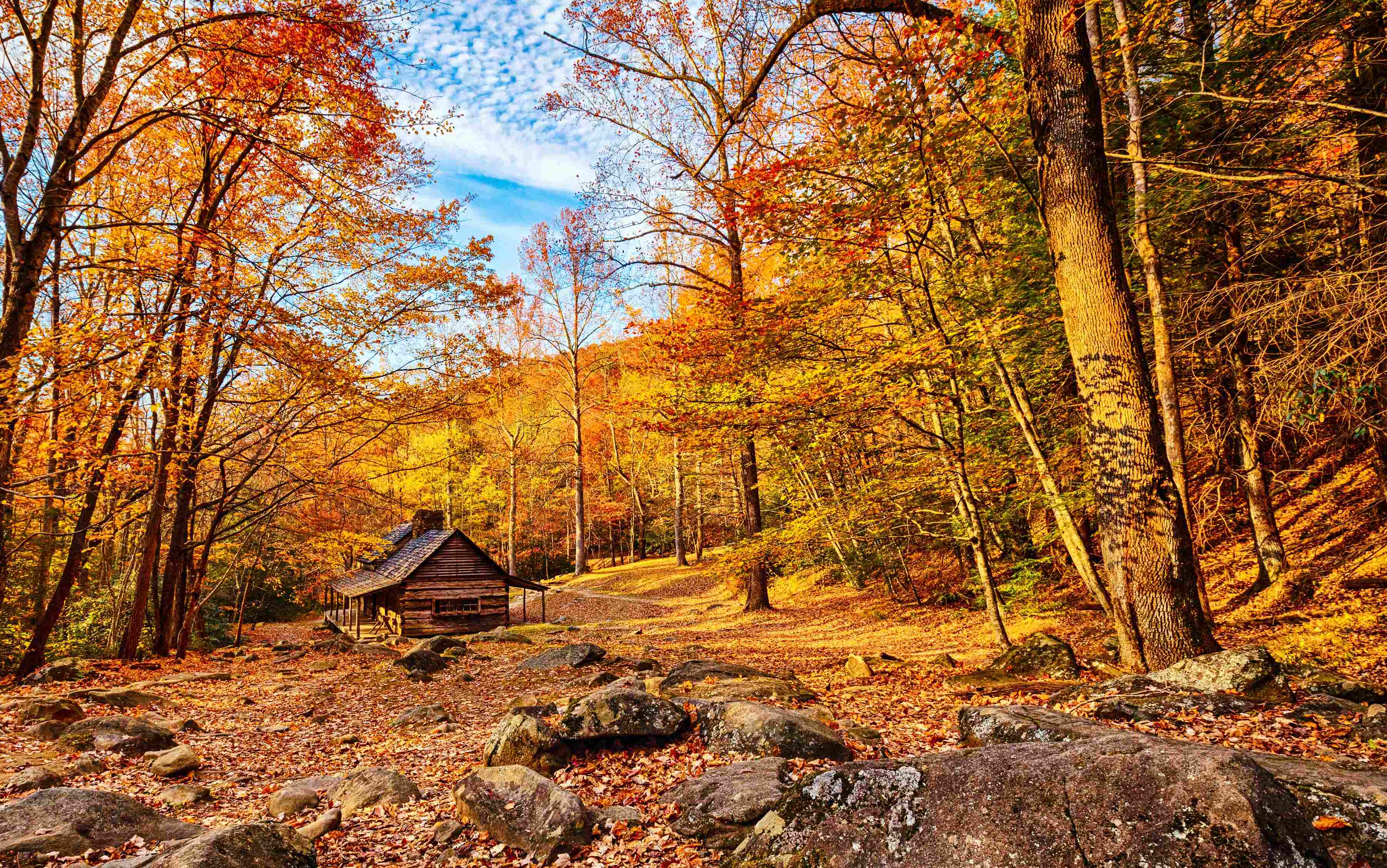 Cabin in Great Smoky Mountains National Park