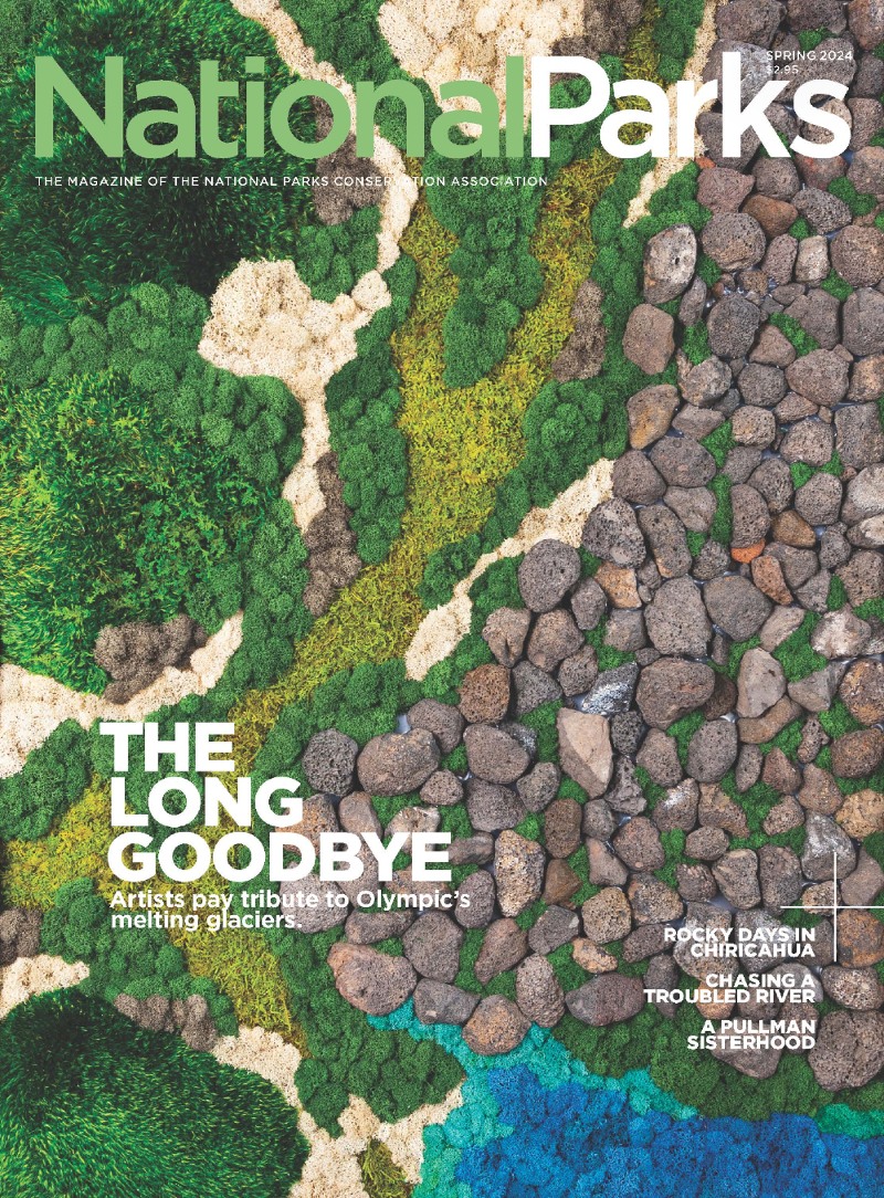 Olympic's Akela Glacier represented as art