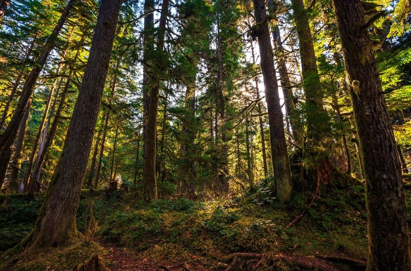 Olympic National PArk