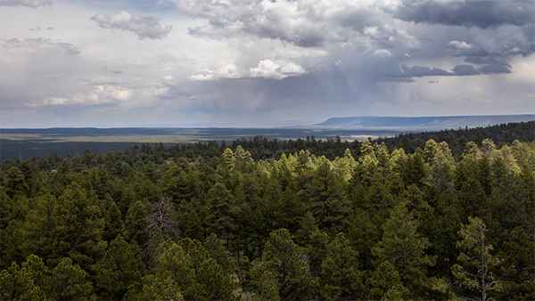 storm over landscape of trees and hills