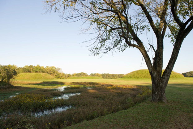 Moundville Archaeological Park