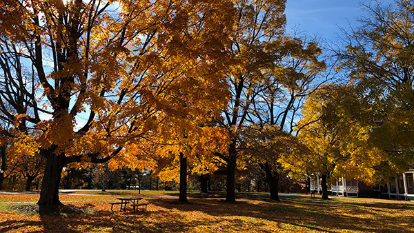 Springfield Armory in fall