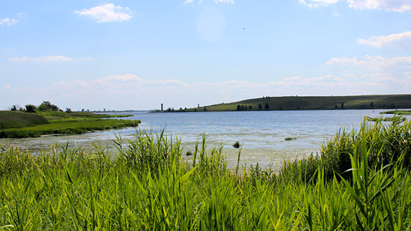 Jamaica Bay