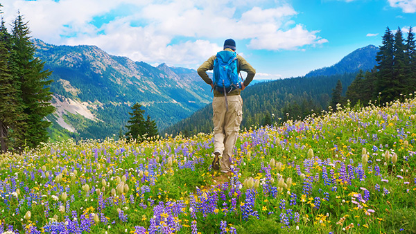 hiker with backpack walking through wildflower field