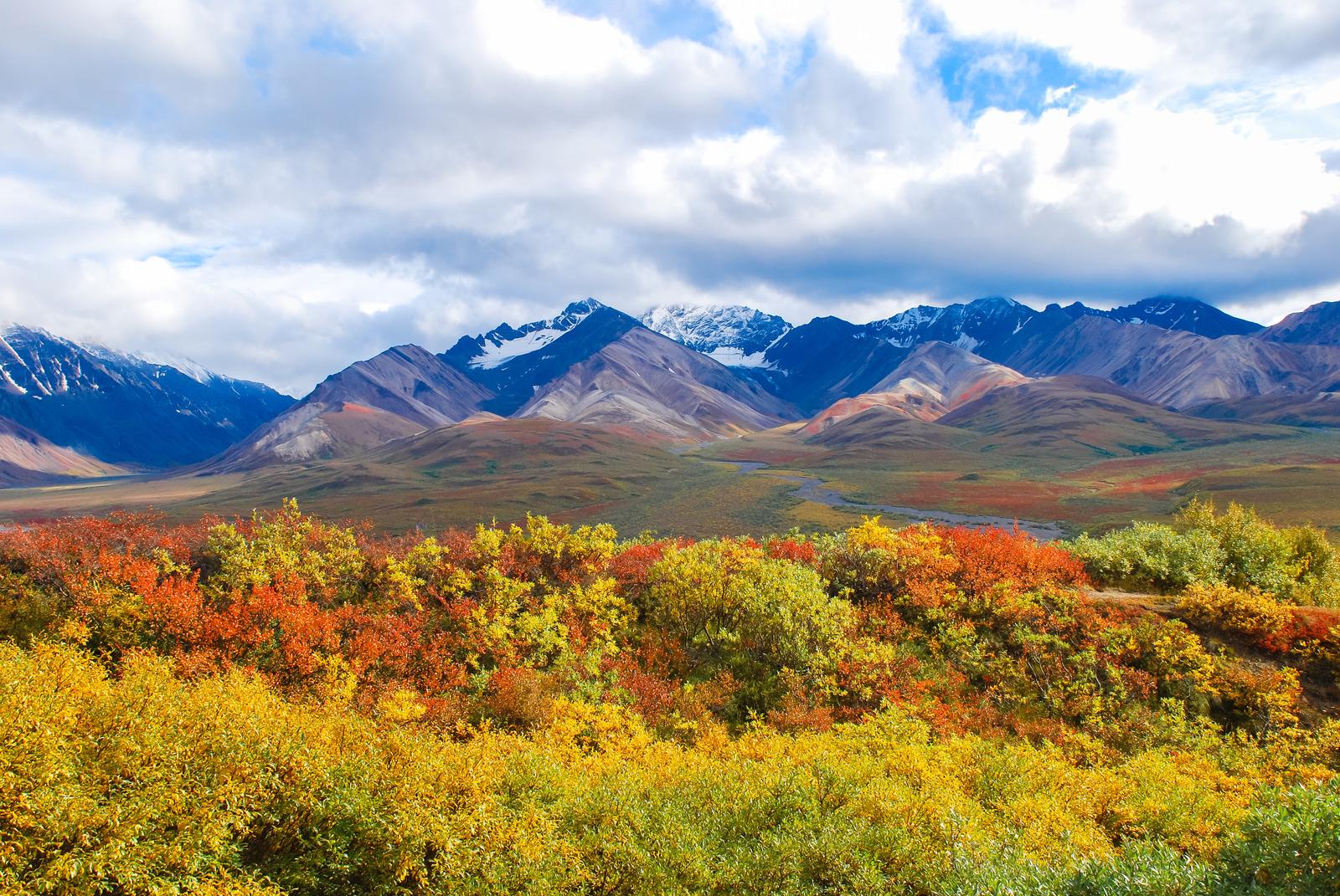 Denali National Park in the fall