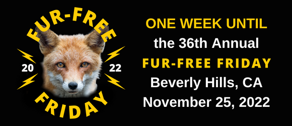 Fur-Free Friday 2022